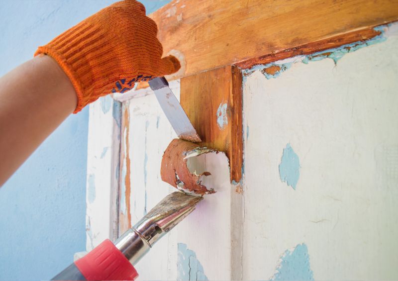 Door Refinishing